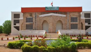 وزارة صحة سنار