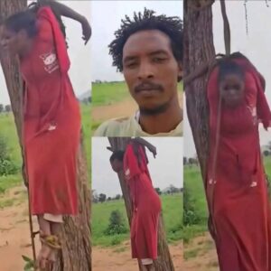 شهيدة نيالا