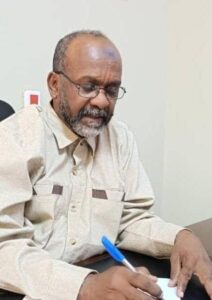 ذو النورين نصر الدين